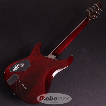 SCHECTER C-7 HellRaiser [AD-C-7-HR] (BCH) 画像5