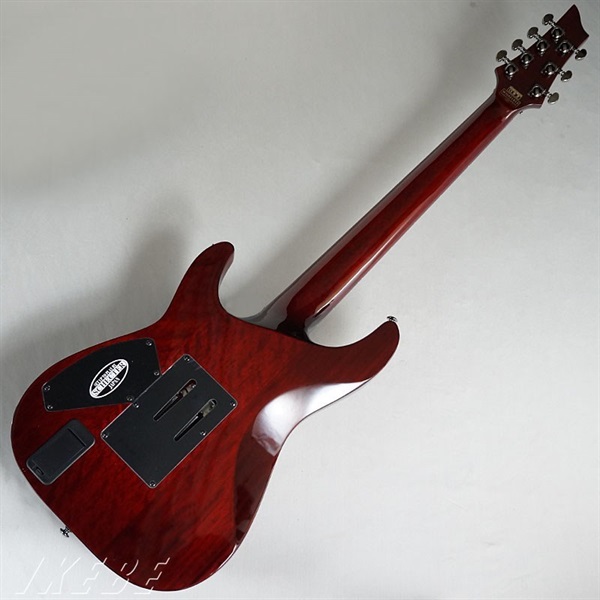 SCHECTER C-7 FR Hellraiser [AD-C-7-FR-HR] (BCH) 画像5