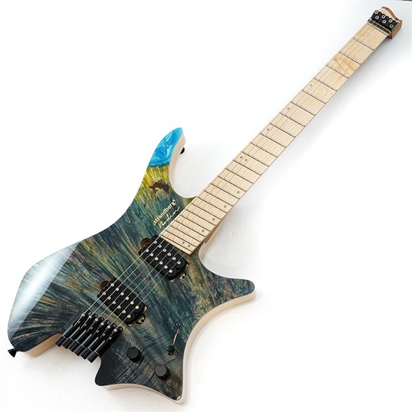 Strandberg Master Artist Series Boden J6 RS-SBL EA (Earth) 画像1