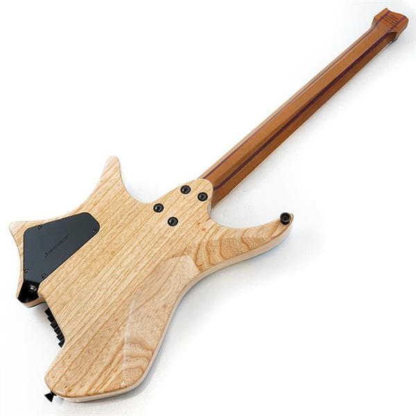 Strandberg Master Artist Series Boden J6 RS-SBL EA (Earth) 画像2