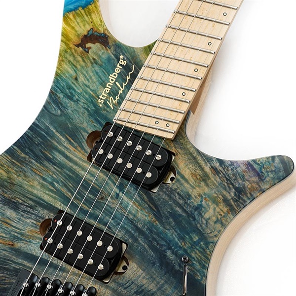 Strandberg Master Artist Series Boden J6 RS-SBL EA (Earth) 画像3