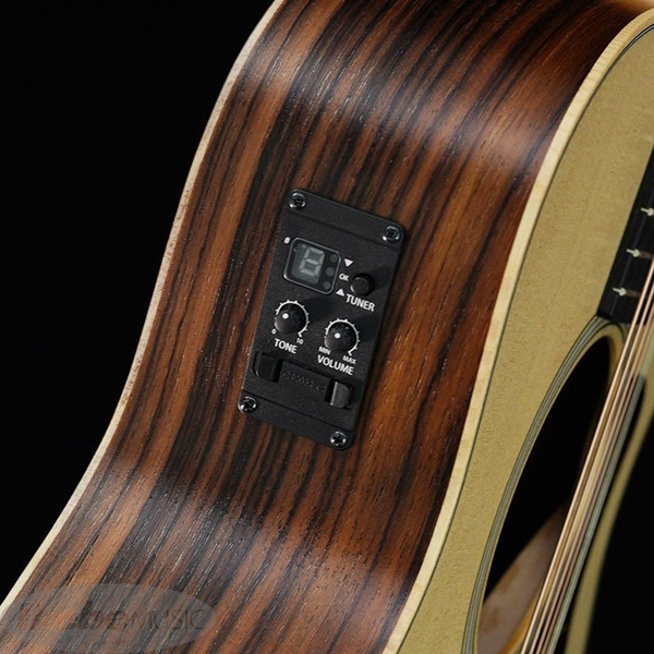 TAYLOR GS Mini-e Rosewood ES-B 【特価】 ｜イケベ楽器店