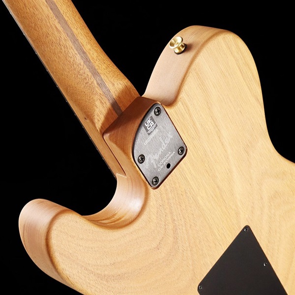 Fender Acoustics American Acoustasonic Telecaster (Blue Flower 