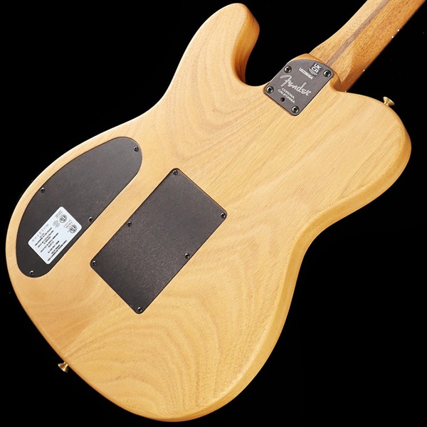 Fender Acoustics American Acoustasonic Telecaster (Blue Flower 
