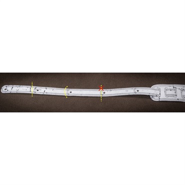 Richter Straps #1008 Springbreak I [Black] 画像1