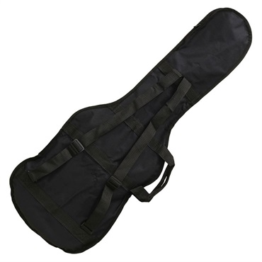 ARIA PB-EG　-Electric Guitar- 画像1