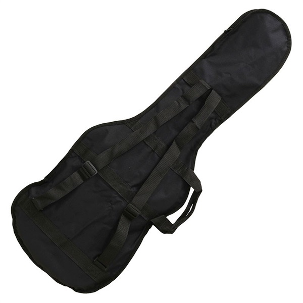 ARIA PB-EG　-Electric Guitar- 画像1