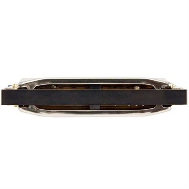 Hohner Progressive Special 20 560/20　(キー：F) 画像2