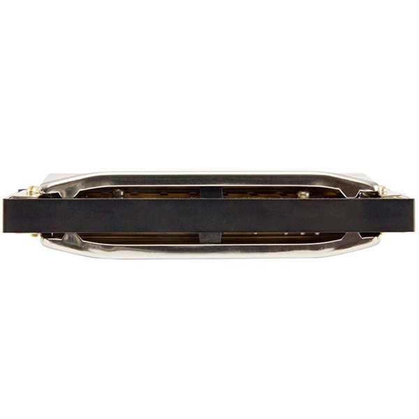 Hohner Progressive Special 20 560/20　(キー：F) 画像2