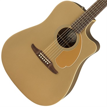 Fender Acoustics Fender Redondo Player (Bronze Satin) 【数量限定 