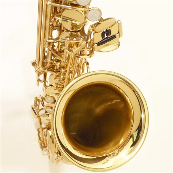 YANAGISAWA ヤナギサワ アルトサックス A-901 Special SP S/N