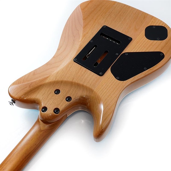 Ibanez TQMS1-CTB [Tom Quayle Signature Model] ｜イケベ楽器店