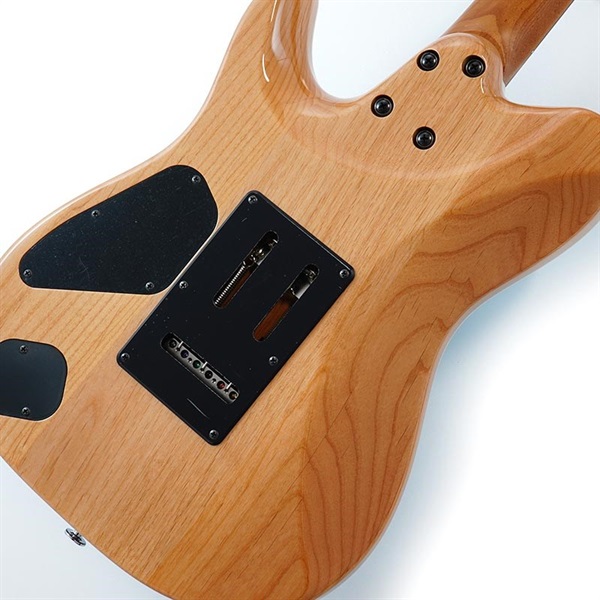 Ibanez TQMS1-CTB [Tom Quayle Signature Model] ｜イケベ楽器店