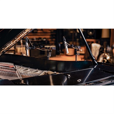 Universal Audio 【特価プロモ！5/31まで】SP-1(ペア)(Hemisphere マイク・モデリング対応ペンシル型コンデンサーマイク)(国内正規品)(ユニバーサルオーディオ) 画像5
