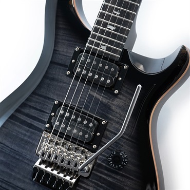 PRS SE Floyd Custom 24 グレーブラック ハードケース付き DISC - PRS SE 
