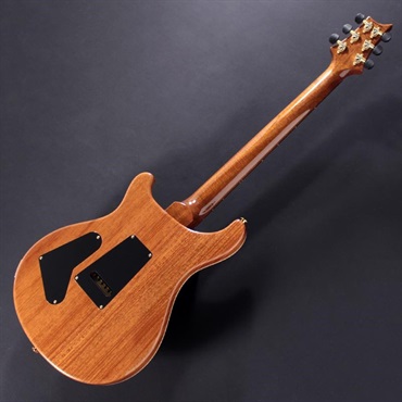 P.R.S. Ikebe Original Wood Library Custom24 McCarty Thickness Cerise #0340404 画像6