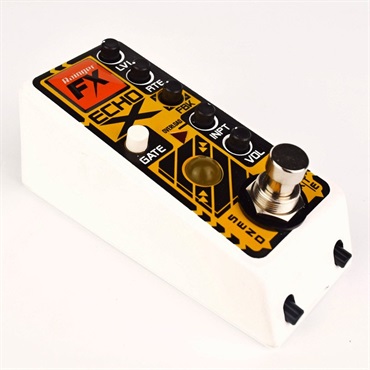 Rainger FX Echo X [Gated Digital Delay] 画像2
