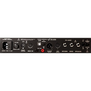 REVV G20 [Lunchbox Amplifiers] 画像4