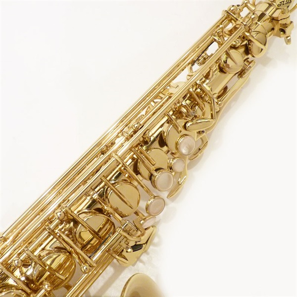 Selmer Paris USED 中古 セルマー アルトサックス SERIE III Jubilee GL S/N:805xx6 【調整&セットアップ後出荷】【5年間キーバランス調整無料】 画像3