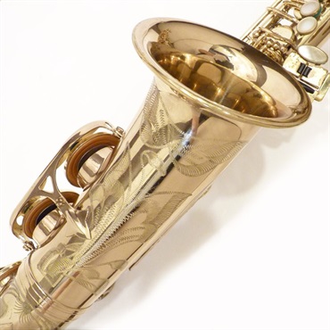 Selmer Paris セルマー アルトサックス SA-80II w/e GL S/N:384xx3 【調整&セットアップ後出荷】【5年間キーバランス調整無料】 画像5