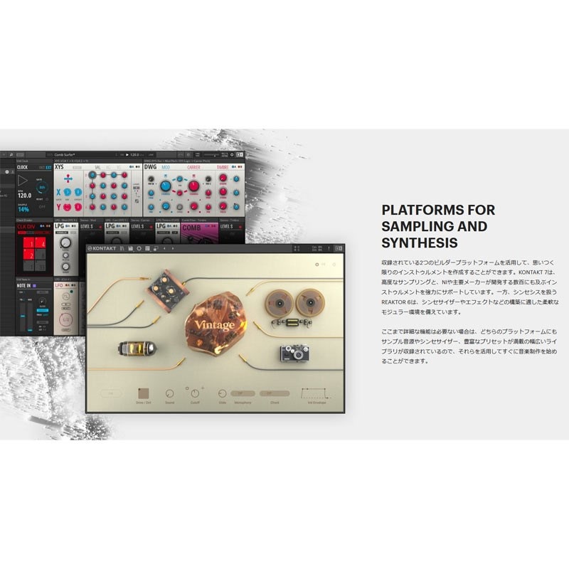 Native Instruments KOMPLETE 14 STANDARD Upgrade for Select
