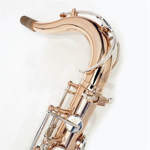 その他ブランド(管楽器・吹奏楽器) iO イオ テナーサックス TS