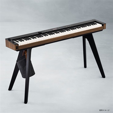 CASIO CS-90P(スタンド ) 画像1