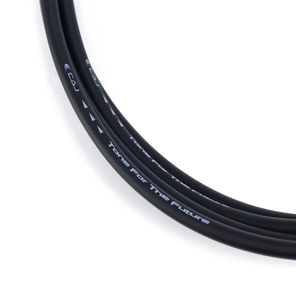 CAJ 旧CAJ Cable (I-I/3m) 【旧ロゴスペシャルプライス！】 画像2