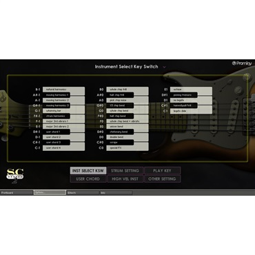 Prominy SC Electric Guitar 2(代引不可)(オンライン納品) 画像4