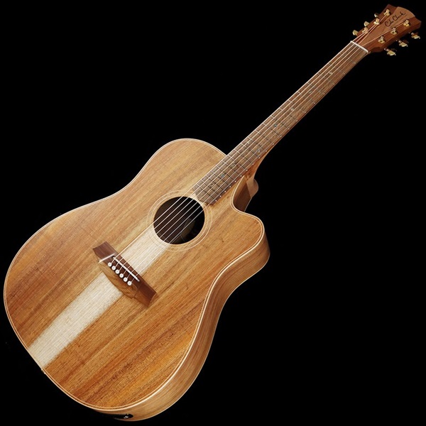 Cole Clark CCFL2EC-BLBL ｜イケベ楽器店