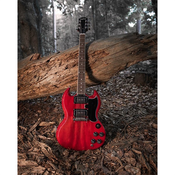 Epiphone Tony Iommi SG Special (Vintage Cherry) 画像8