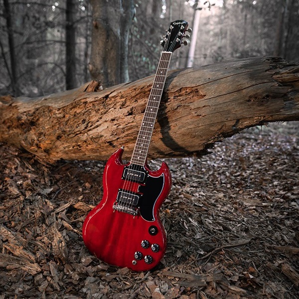 Epiphone Tony Iommi SG Special (Vintage Cherry) 画像9