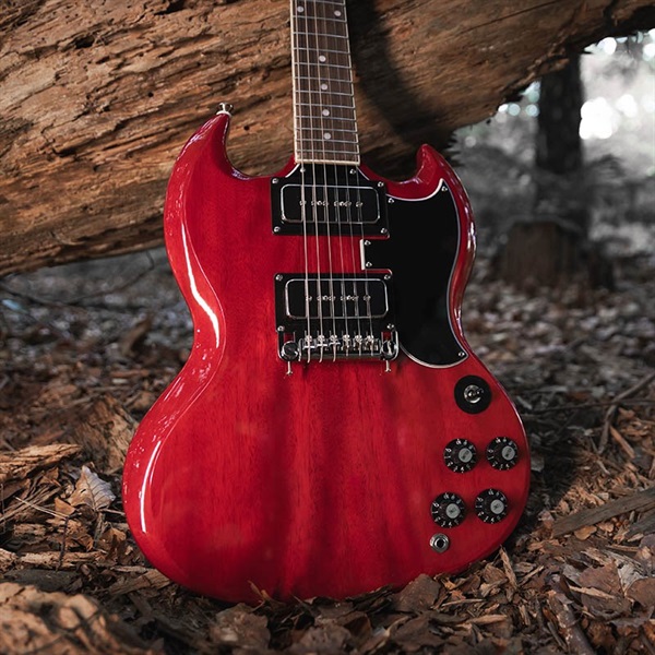 Epiphone Tony Iommi SG Special (Vintage Cherry) 画像10