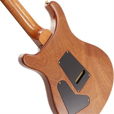 P.R.S. Ikebe Original Wood Library Custom24 McCarty Thickness Espresso [SN.0340514] 【2022年生産モデル】 画像5