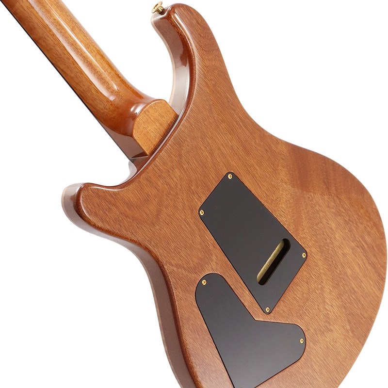 P.R.S. Ikebe Original Wood Library Custom24 McCarty Thickness Espresso [SN.0340514] 【2022年生産モデル】 画像5