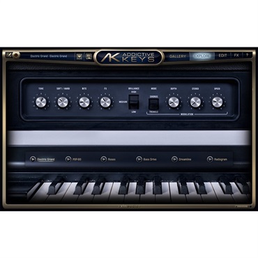 xlnaudio Addictive Keys Electric Grand (代引不可)(オンライン納品) 画像2