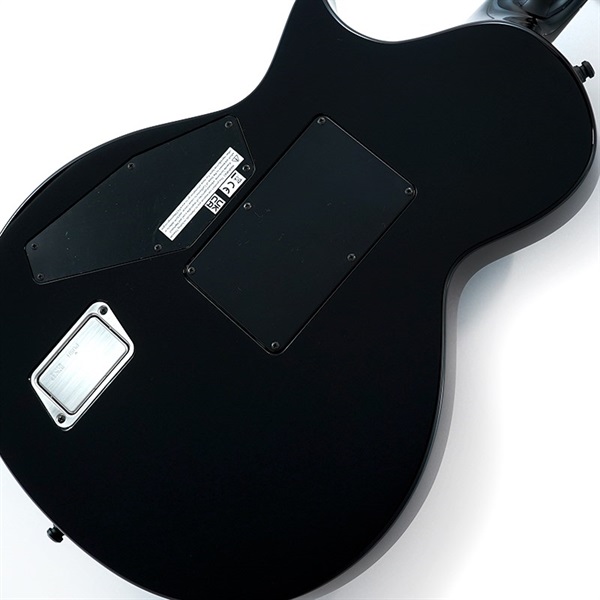 ESP Signature Series Kirk Hammett Model KH-3 SPIDER 30th Anniversary Edition 画像7