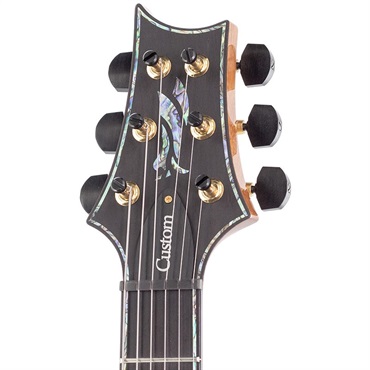 P.R.S. Ikebe Original Wood Library Custom24 McCarty Thickness Espresso #0340748 【2022年生産モデル】 画像3