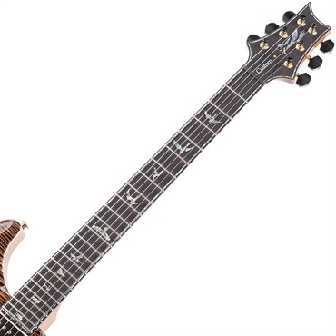 P.R.S. Ikebe Original Wood Library Custom24 McCarty Thickness Espresso #0340748 【2022年生産モデル】 画像5
