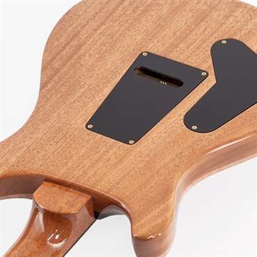 P.R.S. Ikebe Original Wood Library Custom24 McCarty Thickness Espresso #0340748 【2022年生産モデル】 画像10