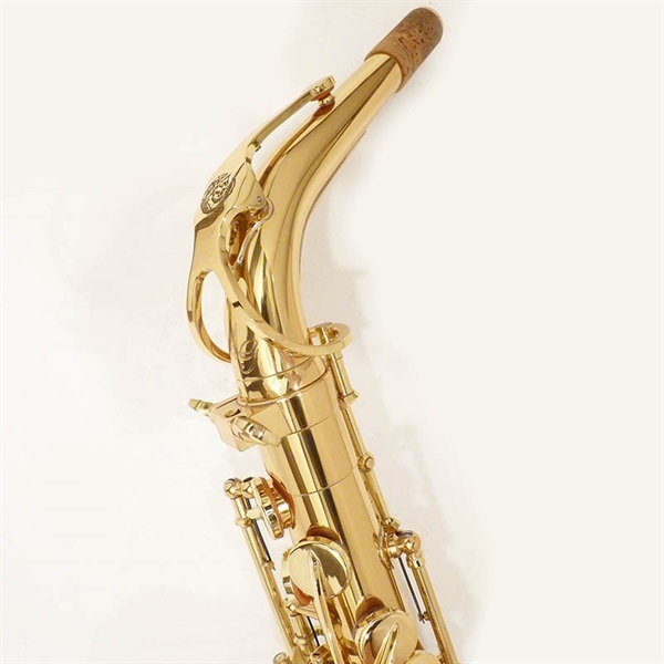 その他ブランド(管楽器・吹奏楽器) iO イオ アルトサックス AS-1065GL S/N:RF07xx6 【調整&セットアップ後出荷】【5年間キーバランス調整無料】 画像2