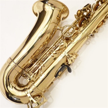 YANAGISAWA USED 中古 ヤナギサワ アルトサックス A-901II S/N:243xx5 【調整&セットアップ後出荷】【5年間キーバランス調整無料】 画像7