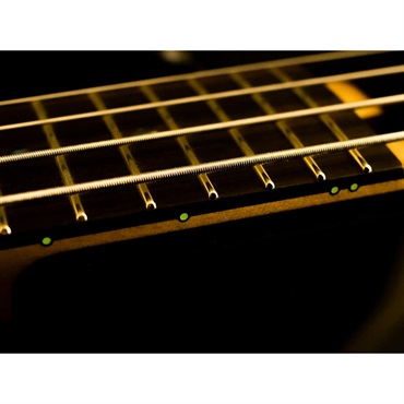 Killer 【受注生産品、ご予約受付中】 KB-Criminal bass