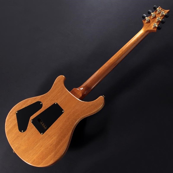 P.R.S. Ikebe Original Wood Library Custom24 McCarty Thickness Espresso #0340441 画像6