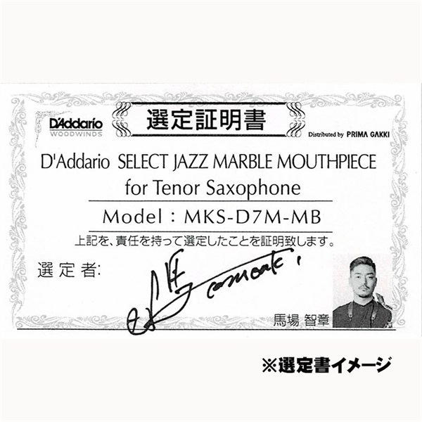 D'Addario Wood Winds 【旧定価品!】【馬場智章氏選定品】「D7M