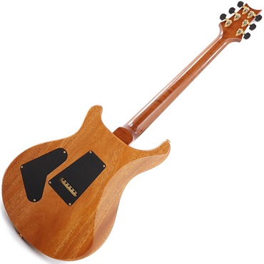 P.R.S. Ikebe Original Wood Library Custom24 McCarty Thickness Tiger Eye [SN.0340104] 【2022年生産モデル】 画像2