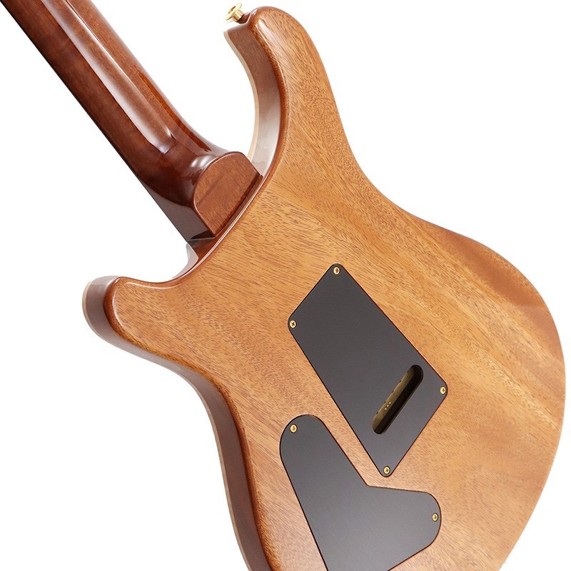 P.R.S. Ikebe Original Wood Library Custom24 McCarty Thickness Tiger Eye [SN.0340104] 【2022年生産モデル】 画像5