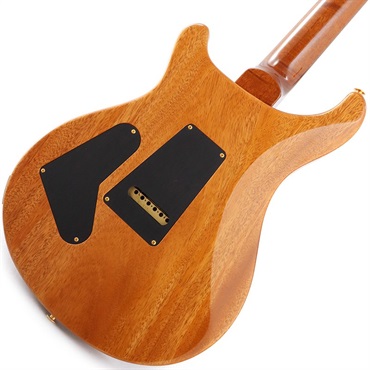 P.R.S. Ikebe Original Wood Library Custom24 McCarty Thickness Tiger Eye [SN.0340104] 【2022年生産モデル】 画像6