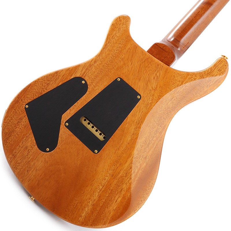 P.R.S. Ikebe Original Wood Library Custom24 McCarty Thickness Tiger Eye [SN.0340104] 【2022年生産モデル】 画像6