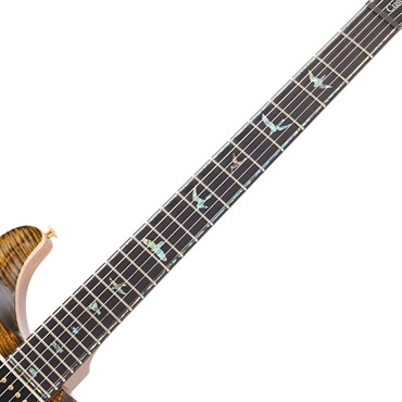 P.R.S. Ikebe Original Wood Library Custom24 McCarty Thickness Tiger Eye [SN.0340104] 【2022年生産モデル】 画像8